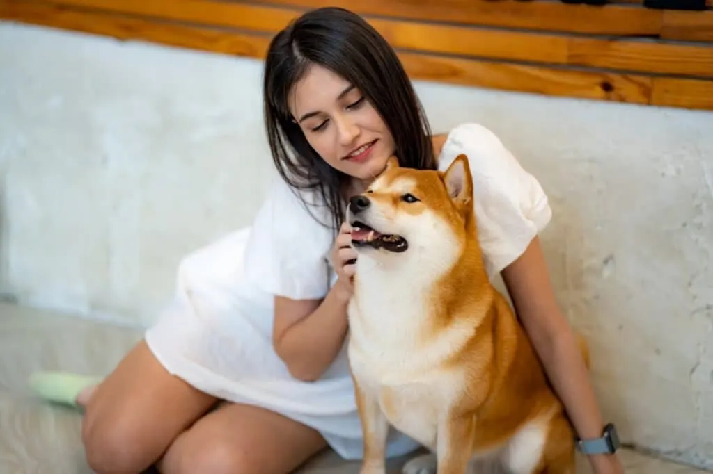 monétiser TikTok, publicité TikTok, partenariats TikTok, influenceur TikTok, marketing d'affiliation TikTok